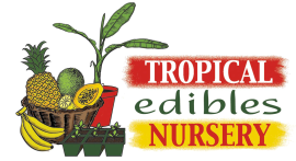 Tropical Edibles Nursery